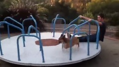 音乐短片 - КОРГИ на каруселі