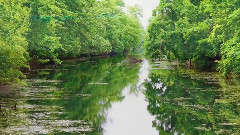 音乐短片 - Mississippi