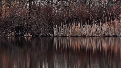 音乐短片 - Tennessee Rain