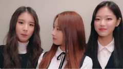 韩国群星 - 本月少女 Happy New Year Message
