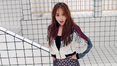 S.E.S - 画中画