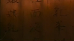 舒淇 - 天下第一奇书
