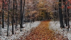 音乐短片 - When Winter Comes