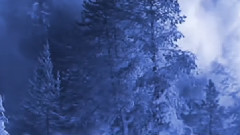 音乐短片 - Winter Waltz