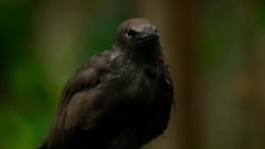 音乐短片 - 真爱时光