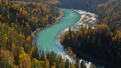 音乐短片 - 喀纳斯情歌