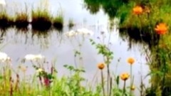 音乐短片 - 斯卡布罗集市