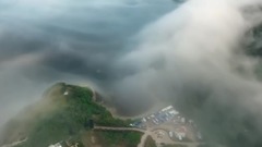 魏新雨 - 醉西楼