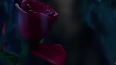 影视原声 - BEAUTY AND THE BEAST TV Spot 2