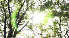 原创 - 小幸运
