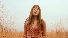 韩国群星 - 你永远不会知道