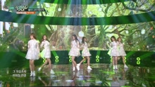 APRIL - April Story - KBS音乐银行 现场版 17/01/06