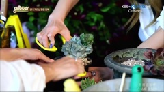 宋茜,f(x) - KBS N Glitter EP05
