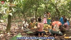 东方神起,郑允浩 - KBS 2013希望之路大长征 郑允浩加纳之行