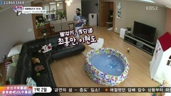 Super Junior - KBS超人回来了