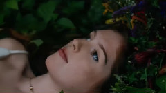 New - Your Beautiful Life