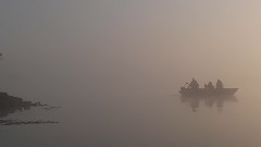 New - Through the haze