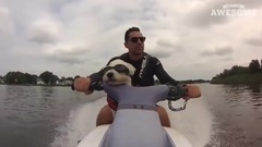 音乐短片 - Extreme Pets!