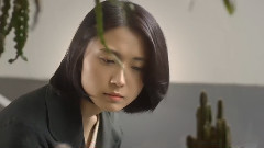 韩国群星 - Crush