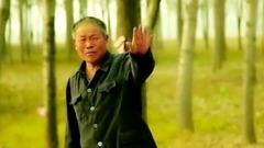 祁隆 - 老父亲
