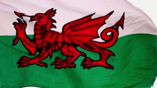 Manic Street Preachers - Together Stronger (C'mon Wales) (Official Video)