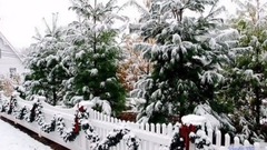 音乐短片 - Белый снег. Виктор Королев. Автор ролика Наталья Бурлакова