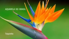 音乐短片 - Aquarela Do Brasil