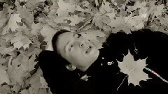 欧美群星 - Плачет осень