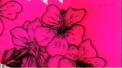 欧美群星 - AONO (Demo Mix)