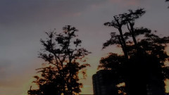 音乐短片 - 西西里舞曲 (Sicilienne)