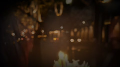 音乐短片 - 天鹅(The Swan)