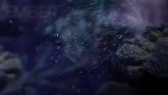 音乐短片 - Dark Sky Island