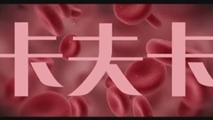 华语群星 - 卡夫卡妄想症
