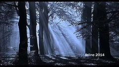 音乐短片 - Midsummer Song