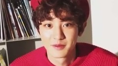 EXO,朴灿烈(EXO) - CECI Ins 灿烈相关