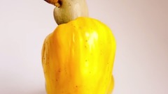 音乐短片 - 14 Kinds Of Dangerous Food