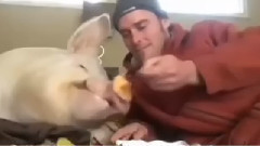 音乐短片 - Дружба