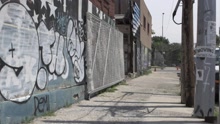 The Brooklyn Vibe
