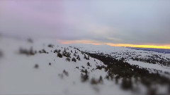Fronda - Medvetenhetsström