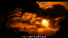 音乐短片 - 摘下满天星