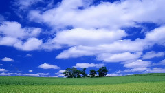 音乐短片 - На крыльях белых журавлей авт Людмила Огнева