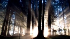 音乐短片 - 聆听音乐之美 清晨