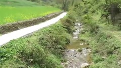 风景 - 家乡的那条路