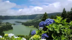 音乐短片 - Paradise