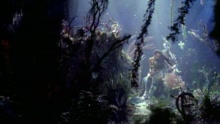 Sade - No Ordinary Love (Video)