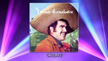 Vicente Fernández - Cállate (Cover Audio)