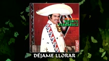 Vicente Fernández - Déjame Llorar (Cover Audio)