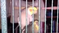 音乐短片 - Зловив