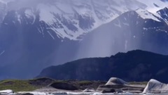 音乐短片 - 外国野外生活