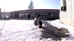 音乐短片 - 外国炫酷小哥在冬天里踩着雪板在扶手上玩滑板